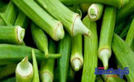 బెండకాయలతో ఈ రోగాలన్నీ పరార్‌..!